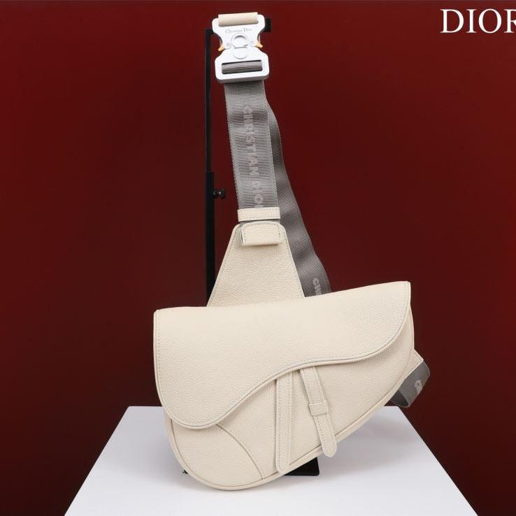 Christian Dior Saddle Bags - Click Image to Close